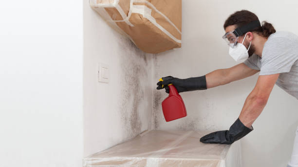 Professional Attic Mold Remediation technician working in North Beach, MD